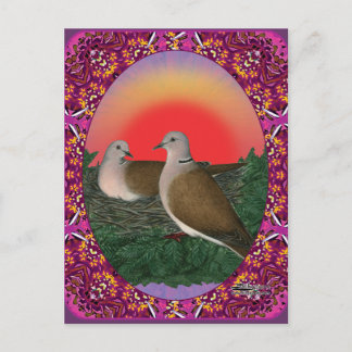 Doves Framed Postcard