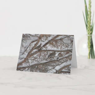 Doves In Snowy Pine Card