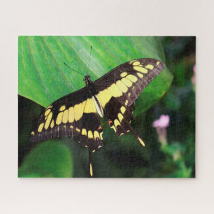 Dovetail Butterfly Jigsaw Puzzle