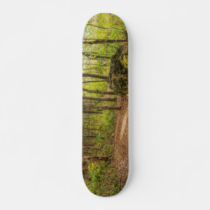 Down And Around Skateboard