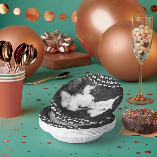 down fluffy paper plate (Multi)