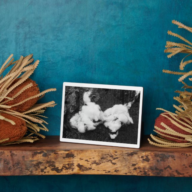 down fluffy plaque (Side)