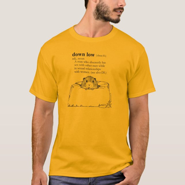 DOWN LOW T-Shirt (Front)