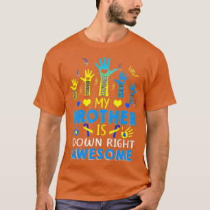 Down Syndrome Brother Sibling Gifts Down Right Awe T-Shirt