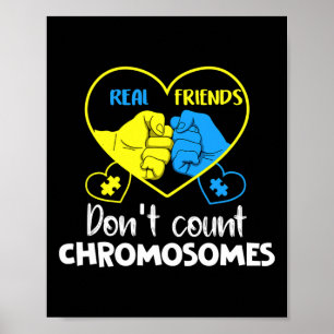 Down Syndrome Real Friends Don't Count Chromosomes Poster