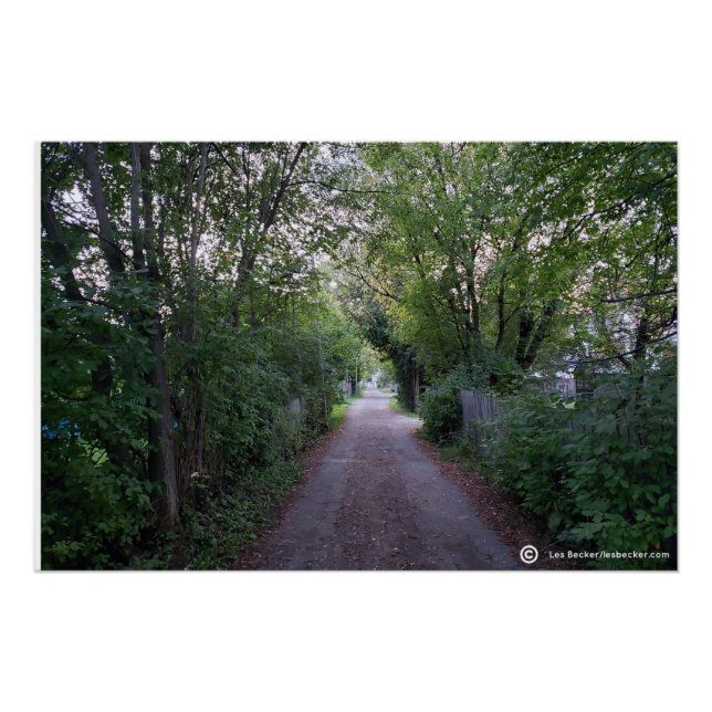 Down the Back Lane Poster (Front)