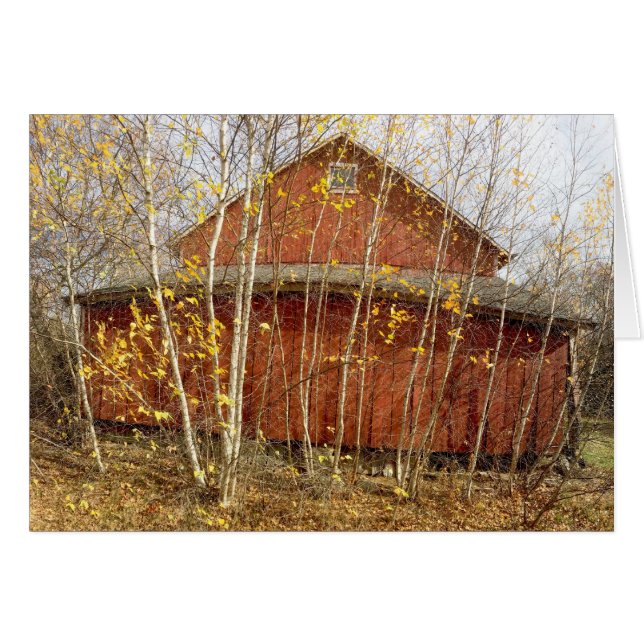 Down The Lane Farm Barn (Front Horizontal)