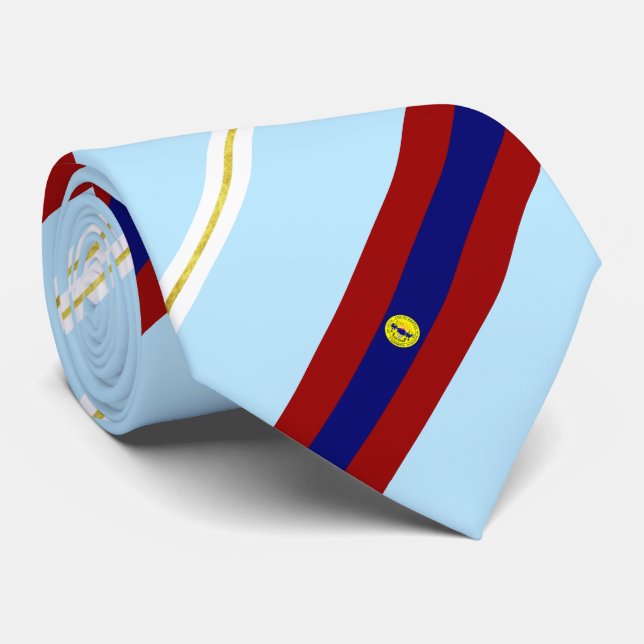 Downey (California) city flag Neck Tie (Rolled)