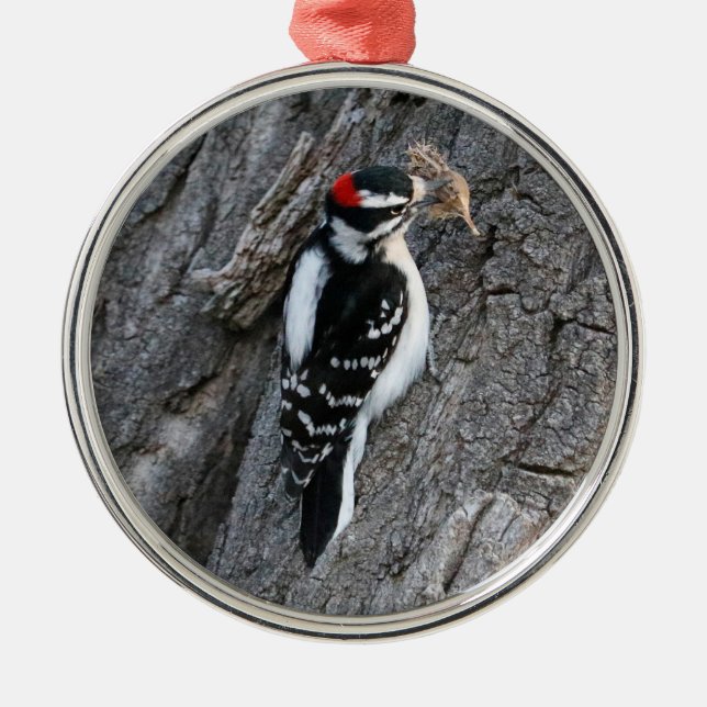 Downey Woodpecker Metal Tree Decoration (Front)