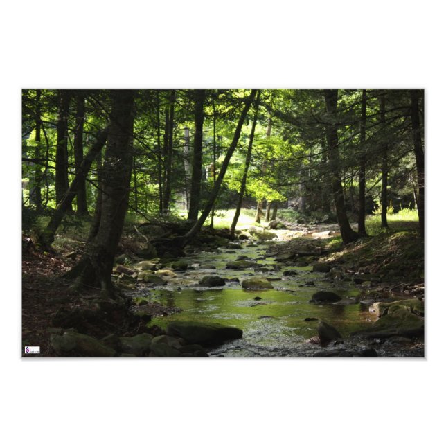 Downstream Photo Print (Front)