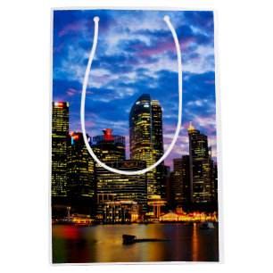 Downtown core medium gift bag