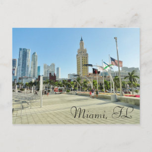 Downtown Miami / Freedom Tower Postcard