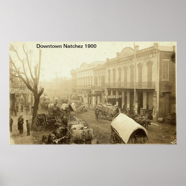 Downtown Natchez  Print (Front)