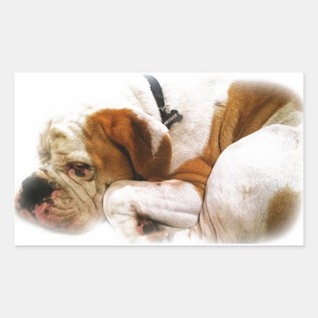 Downward Dog Rectangular Sticker (Front)