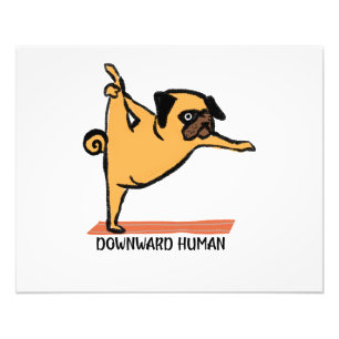 Downward Human-Yoga-Dog-Funny Photo Print