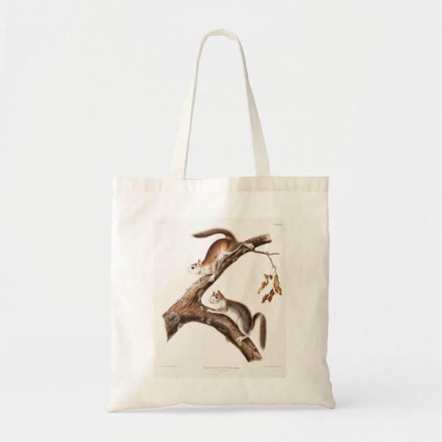 Downy Brown Squirrel House Tote Bag (Front)