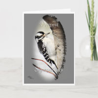 Downy Woodpecker 8998- customise as desired