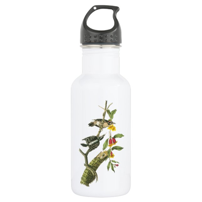 Downy Woodpecker by Audubon 532 Ml Water Bottle (Front)