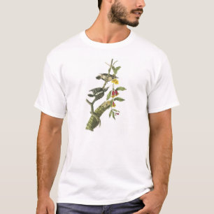 Downy Woodpecker by Audubon T-Shirt