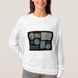 Downy Woodpecker Composite Pictures Items T-Shirt