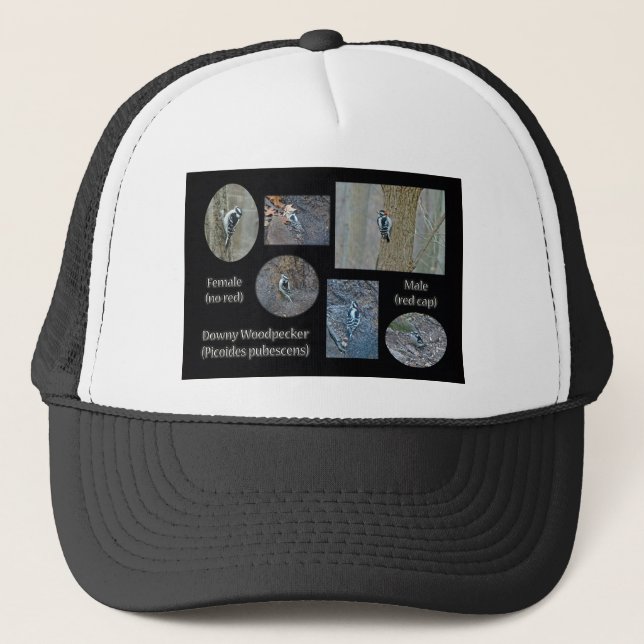 Downy Woodpecker Composite Pictures Items Trucker Hat (Front)