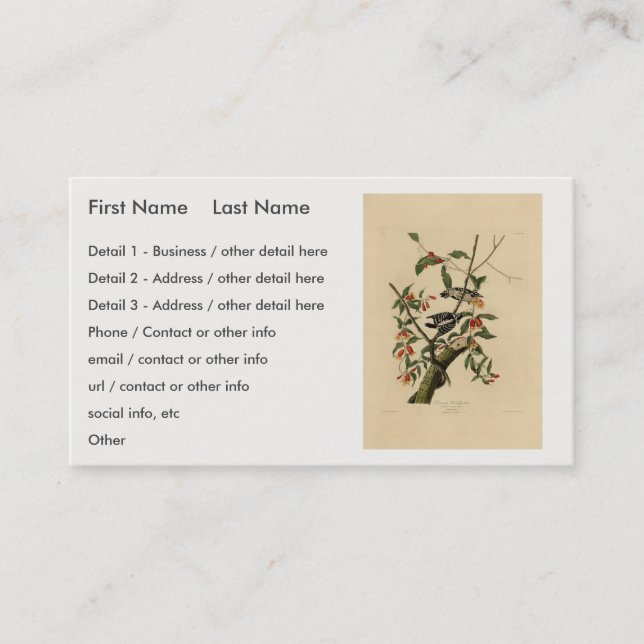 Downy Woodpecker - from Audubon's Birds of America Business Card (Front)