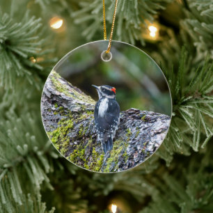 Downy Woodpecker Holiday Gift Ceramic Tree Decoration