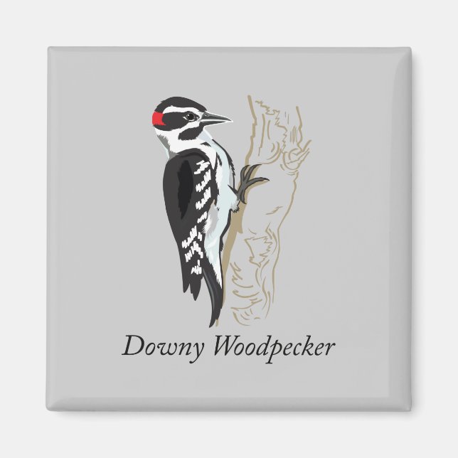 Downy Woodpecker Illustration Magnet (Front)