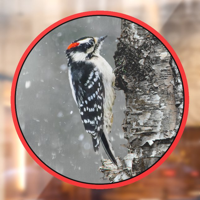 Downy Woodpecker in Snow - Original Photograph (Sheet 2)