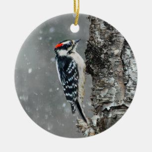 Downy Woodpecker in Snow - Original Photograph Ceramic Tree Decoration