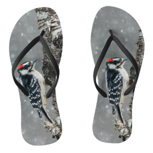 Downy Woodpecker in Snow - Original Photograph Jandals