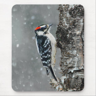 Downy Woodpecker in Snow - Original Photograph Mouse Pad