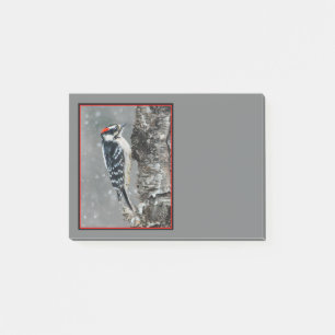 Downy Woodpecker in Snow - Original Photograph Post-it Notes