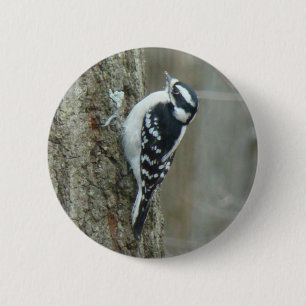Downy Woodpecker Items 6 Cm Round Badge
