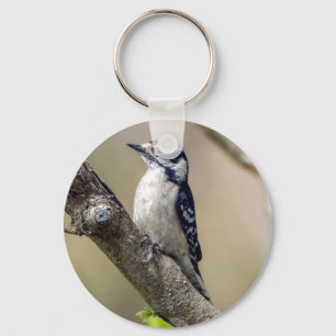 Downy Woodpecker Keychain