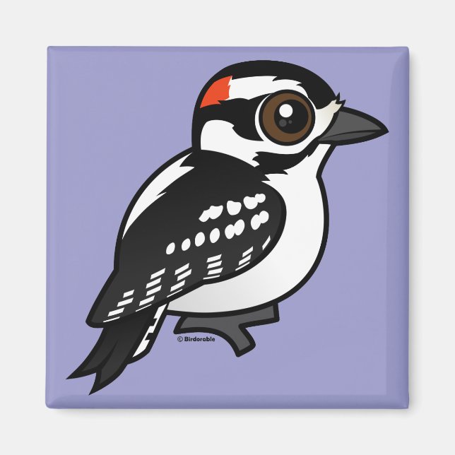 Downy Woodpecker Magnet (Front)
