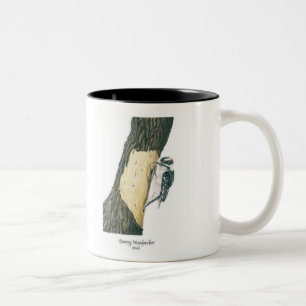Downy Woodpecker (Male) Two-Tone Coffee Mug