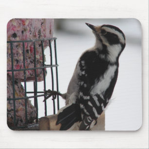 Downy Woodpecker Mouse Pad