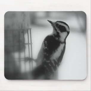 Downy Woodpecker Mouse Pad