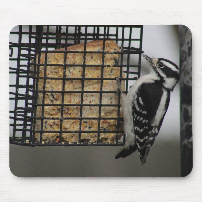 Downy Woodpecker mousepad (Front)