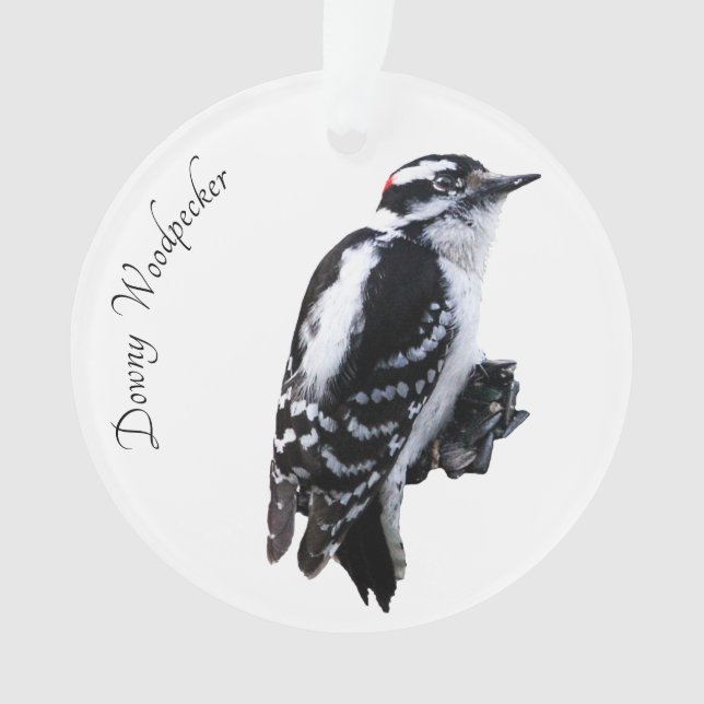 Downy Woodpecker Ornament (Front)