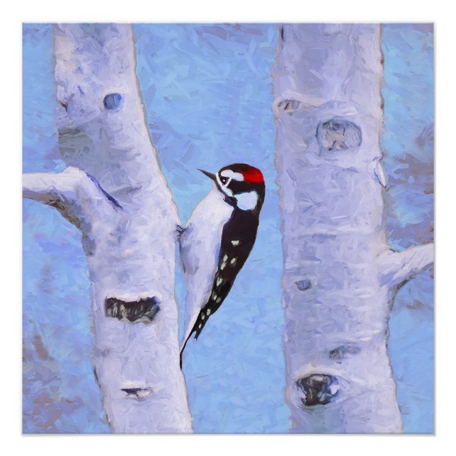 Downy Woodpecker Painting - Original Bird Art Poster (Front)