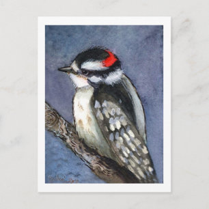 Downy Woodpecker Watercolor Postcard