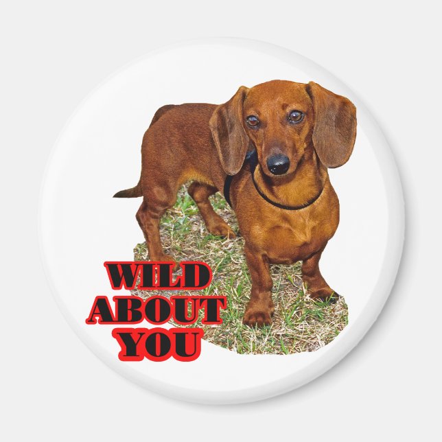 Doxi Lover Magnet (Front)