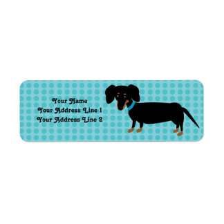 Doxie Boy with Pink Dots Background