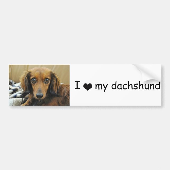 Doxie Bumper Sticker (Front)