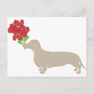 Doxie Delivers 12 Red Roses - Valentines Day!!!! Holiday Postcard