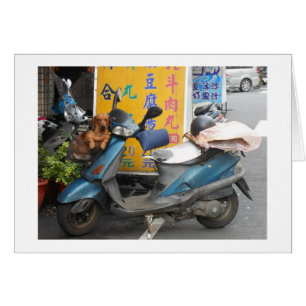 Doxie in basket card