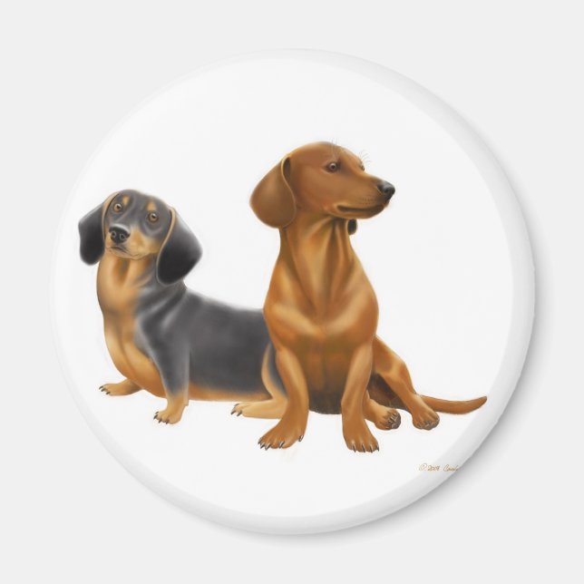 Doxie Wiener Dogs Magnet (Front)