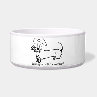 Doxitude food dish